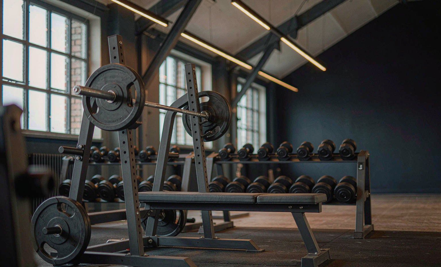 Power rack, training bench and dumbbell rack in a modern gym