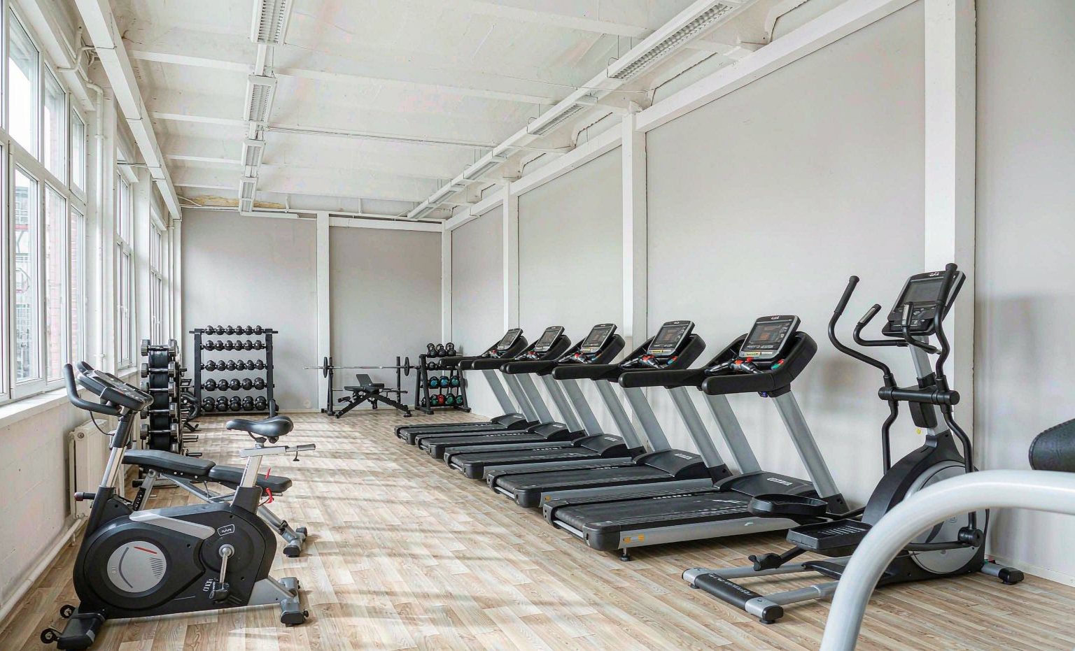 Row of treadmills and elliptical trainers in a bright showroom